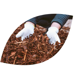 Soil Mulch