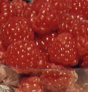 Souris Raspberry fruit