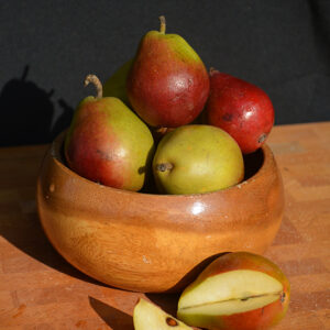 Seckel Pear fruit and flesh