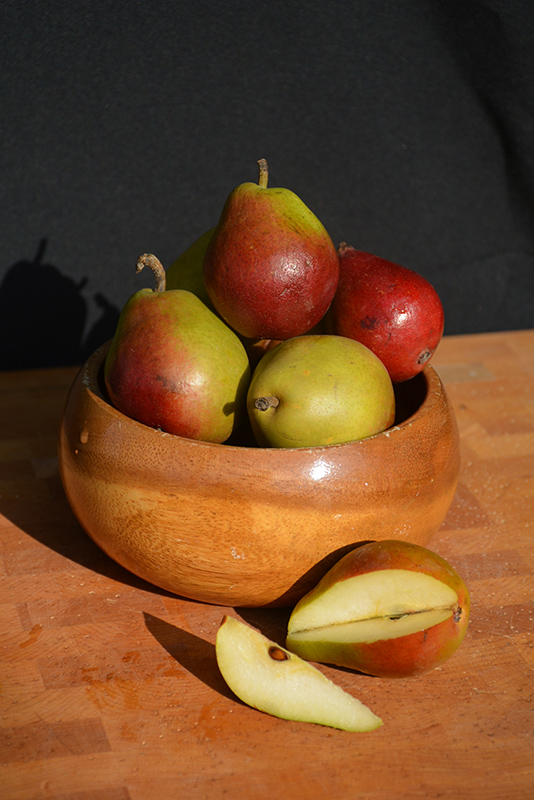 Seckel Pear fruit and flesh