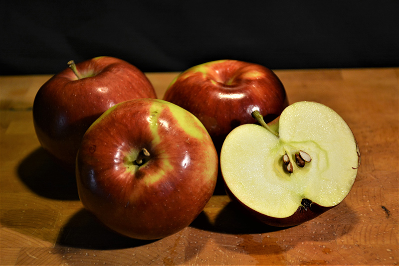 Empire Apple fruit and flesh