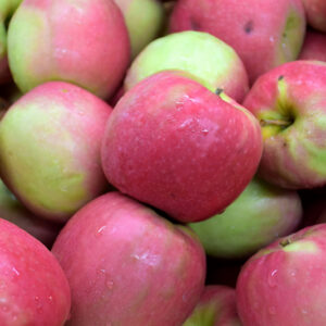 Pink Lady Apple fruit