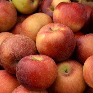 Empire Apple fruit