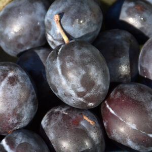 Stanley Plum fruit