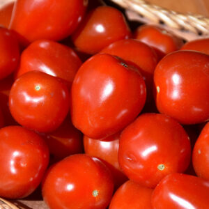 Tomatoberry Garden Tomato fruit