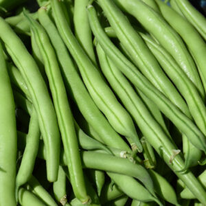 Green Pole Bean fruit