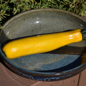 Yellow Zucchini fruit
