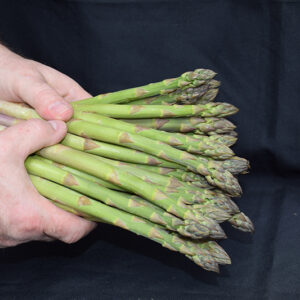 Jersey Giant Asparagus fruit