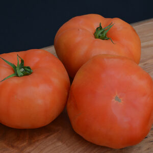 Classic Beefsteak Tomato fruit