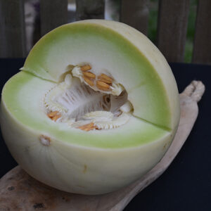 Green Flesh Honeydew Melon fruit and flesh