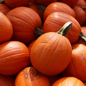 Small Sugar Pumpkin fruit