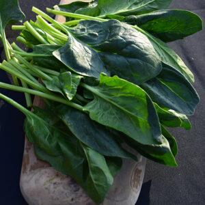 Spinach fruit